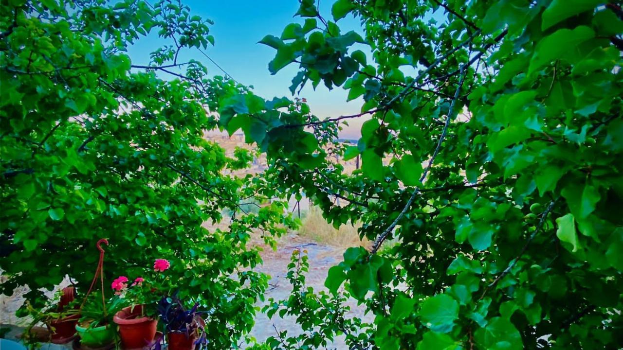 Jerash Canopy Dzseras Kültér fotó